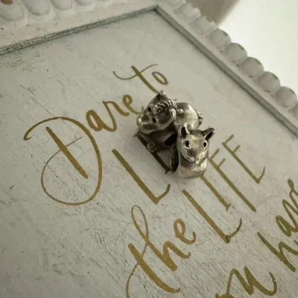 Pandora Jewelry - PANDORA Charms